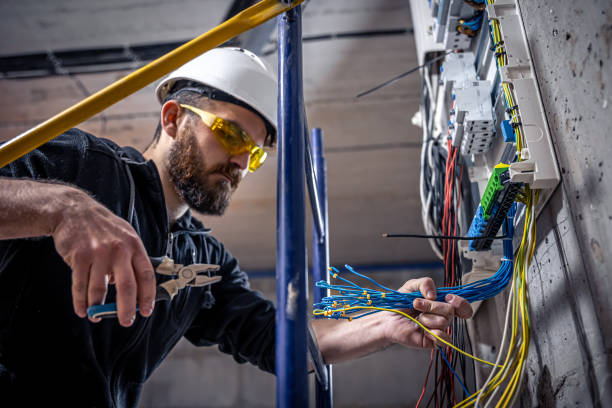 Best Home Electrical Repair  in Hamton, IL