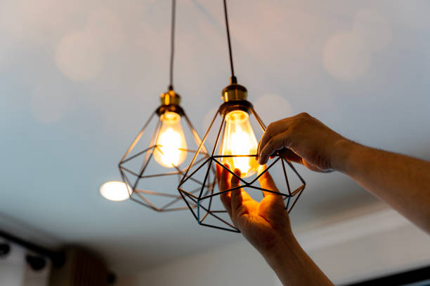 Best Electric Panel Repair  in Hamton, IL